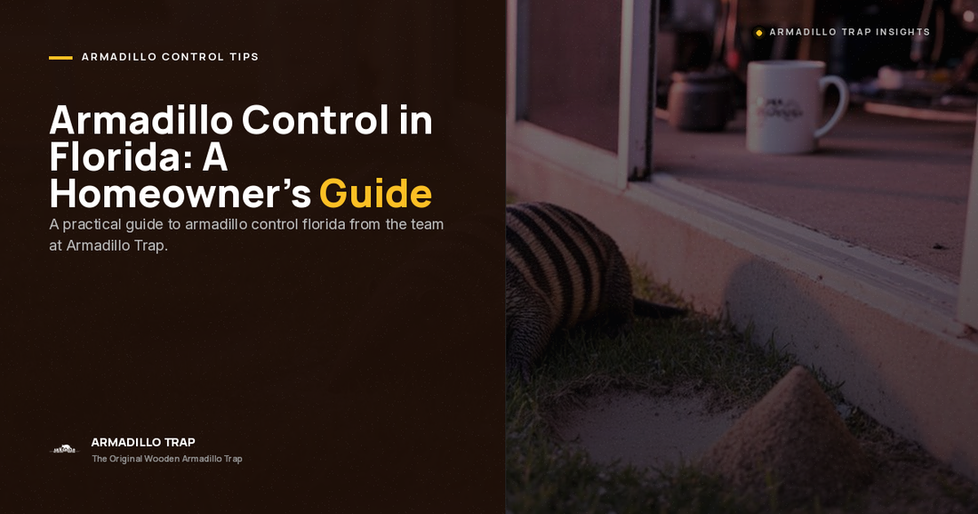 Armadillo Control Florida: A Proven, Step-by-Step Homeowner's Guide