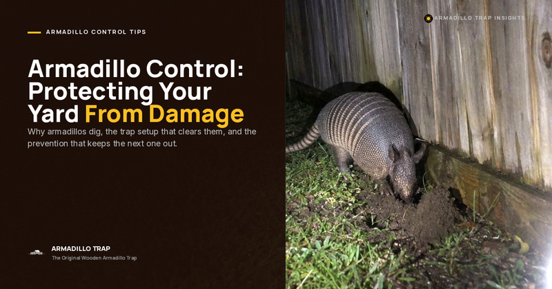 Armadillo Control: A Proven, Step-by-Step Guide to Stop Yard Damage