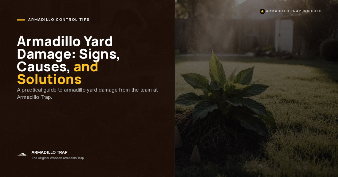 Armadillo Yard Damage: Proven Signs, Causes, and Fast Solutions