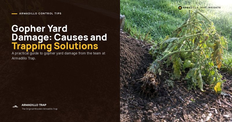 Gopher Yard Damage: Proven Causes and Trapping Solutions