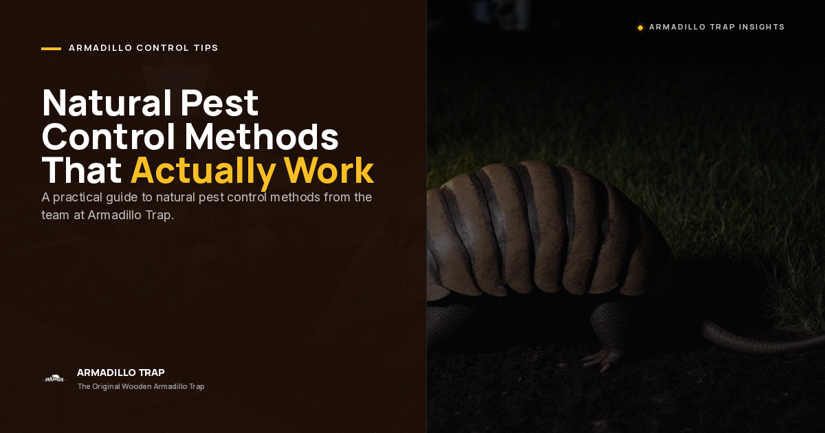 Natural Pest Control Methods That Actually Work: A Proven Homeowner's Guide