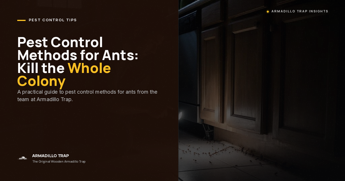 Pest Control Methods for Ants: How the Pros Kill the Whole Colony
