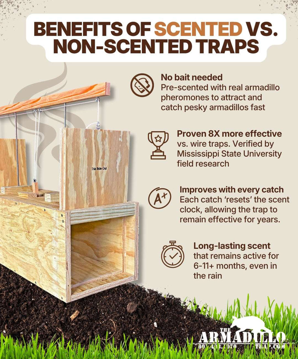 An infographic shows how Armadillo Trap’s #1 Best Selling Scented Wooden Armadillo Trap lures faster, is 8× more effective, improves catch rate, and offers a long-lasting scent versus unscented traps. A wooden humane trap sits on soil beside the text.