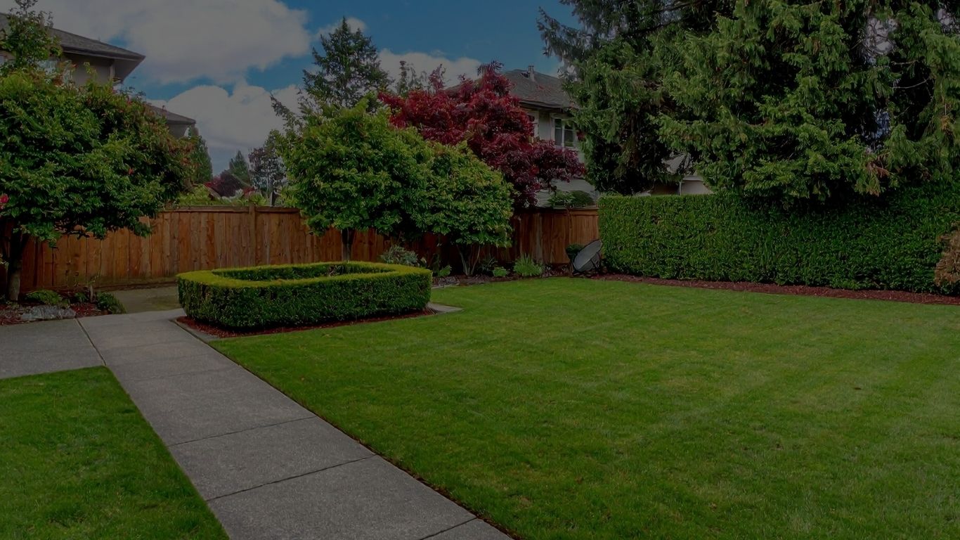 A well-maintained backyard with green grass, a trimmed rectangular hedge, various trees and bushes, a wooden fence, and a concrete walkway leading through the lawn.