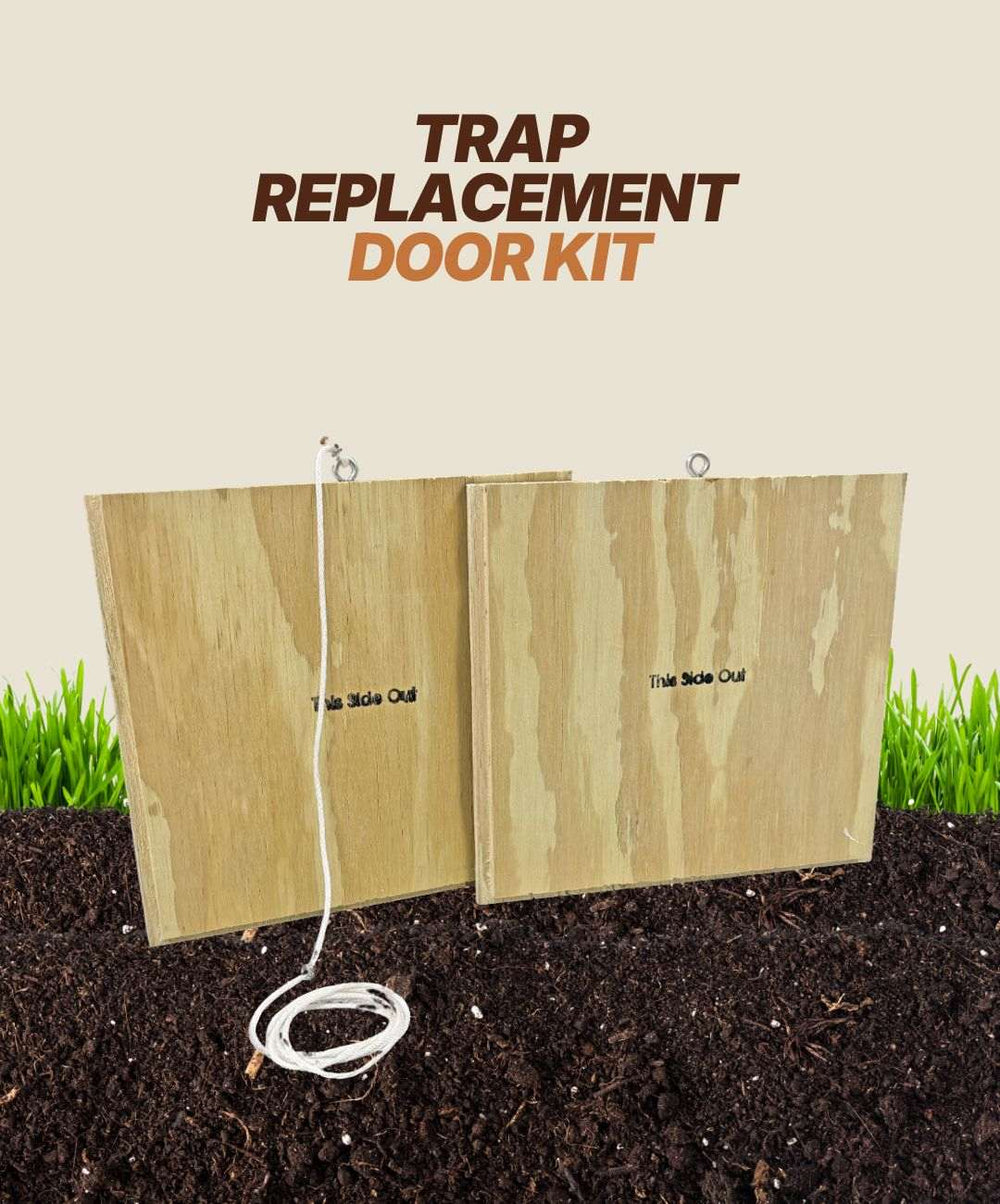 Two wooden panels from the Armadillo Trap Replacement Door Kit by Armadillo Trap stand upright on soil. The kit includes two doors with hooks and a white string for traps—shipping is included. Green grass forms the background.