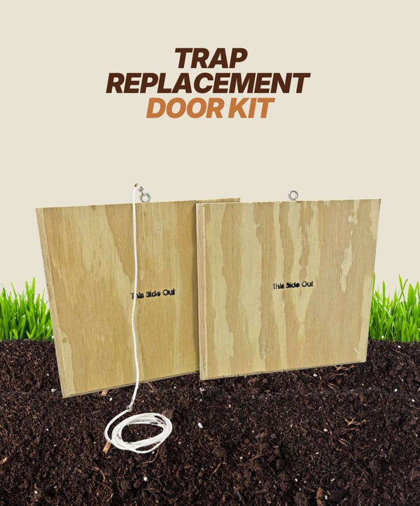 Two wooden panels from the Armadillo Trap Replacement Door Kit by Armadillo Trap stand upright on soil. The kit includes two doors with hooks and a white string for traps—shipping is included. Green grass forms the background.
