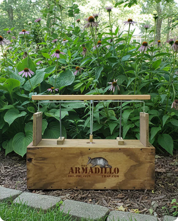 A wooden armadillo trap with metal bars and a handle sits on the ground in a garden, surrounded by blooming purple coneflowers and green foliage. The box reads "The Armadillo Trap" with an image of an armadillo.